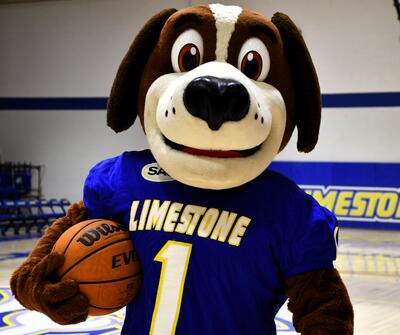 Bernie Basketball 