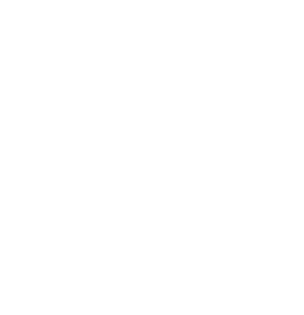 Rock The Upstate logo